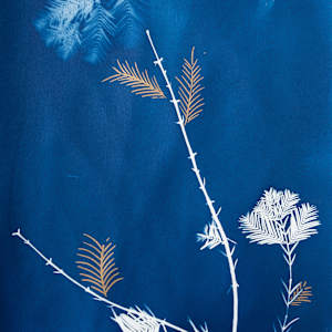 Minimalist 2 by Sri Thumati