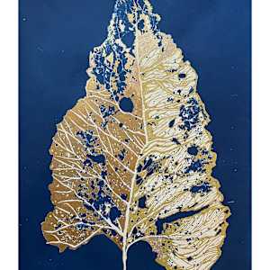 Nervous System- A study by Sri Thumati, Image 1.