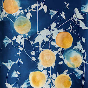 Circle in the Sand by Sri Thumati