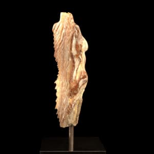 Alabaster Butterfly by Rive Nestor 