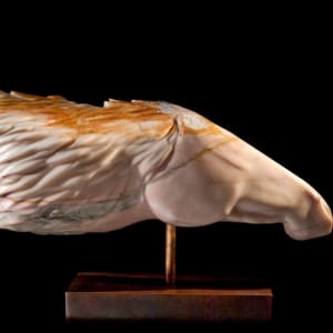 Fly the Wind by Rive Nestor 