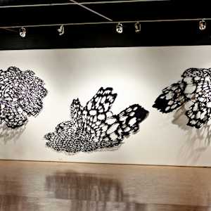 Exploding Lace View #2 by Lizz Aston 