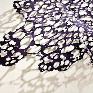 Exploding Lace View #3 (Large) by Lizz Aston 