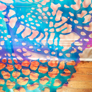 Fibre Optic / Radiant Light - #1 by Lizz Aston 