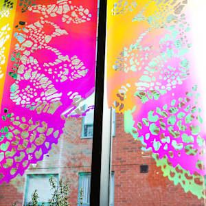 Aurora Lite by Lizz Aston 