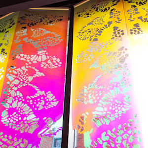 Aurora Lite by Lizz Aston 