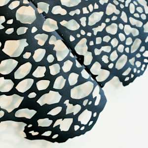 Exploding Lace View #3 (Small) by Lizz Aston 