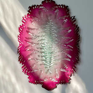 Anthocyanin by Lizz Aston 