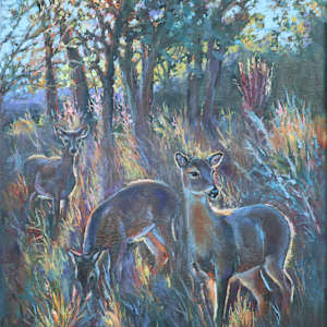 Good Morning Deer by Kristy McNelly, Image 1.