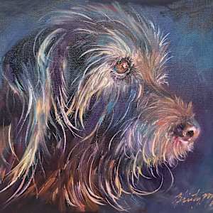 Gus by Kristy McNelly, Image 1.