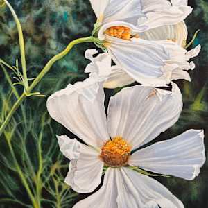 Shelter, in the Cosmos by Jessica Lily