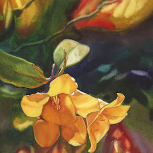 Golden Jessamine Study by Jessica Lily, Image 1.