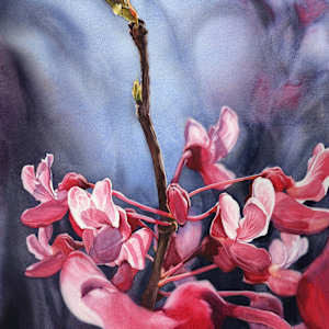 Redbud Rising by Jessica Lily, Image 1.
