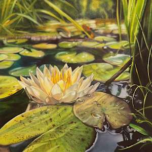 Water Like Glitter by Jessica Lily