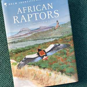 African Raptor Fieldguide by RAG Davies