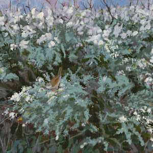 Blackthorn Blossom with Whitethroat by RAG Davies, Image 1.