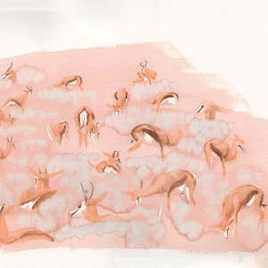 Springbok Frieze by RAG Davies
