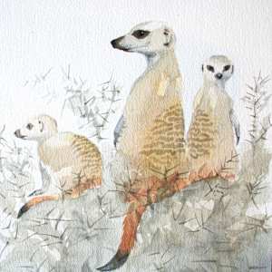 meerkat trio by RAG Davies