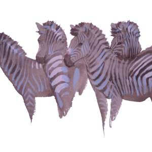 Zebra at the waterhole by RAG Davies