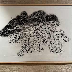 Dog in Flight by Anton Kirchmair, Image 1.