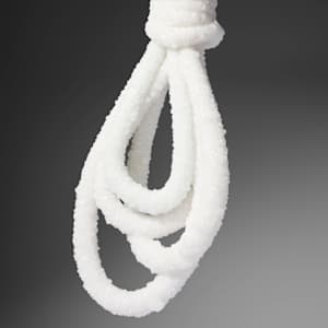Gang Hang by Sigalit Landau, Image 3.