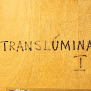 Translumina I. by Richard Anuszkiewicz, Image 8.