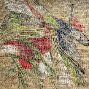 I carry a River by Fiona Stewart