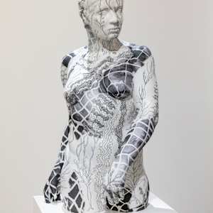 Rosetta by Kimberly Callas