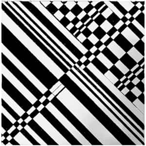 Adding Dynamic to a Black-and-White Grid by Amy Ione