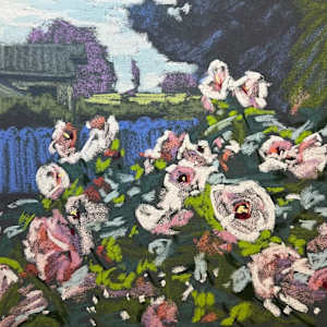 Hibiscus House by Monte Perry