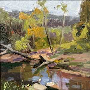 Creek Beside My House by Monte Perry