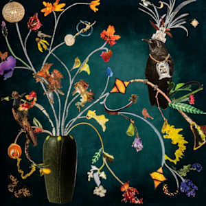 No Fly Zone by Monte Perry