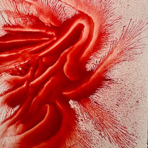 Concentric Path 26 by Daniela Wicki, Image 2.