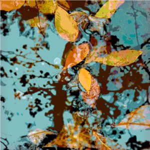 Floating 4, Image 1.