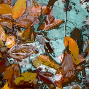 Floating 6, Image 1.