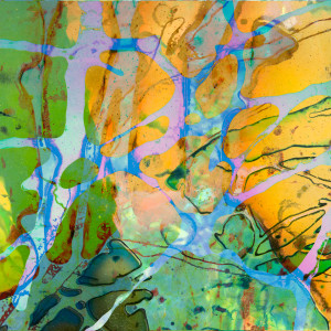 Banded by Fran Eber, Image 1.