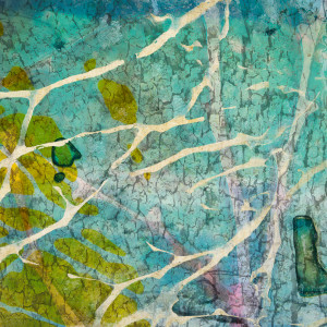 Caustics by Fran Eber