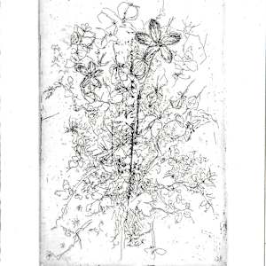 Printemps 20/25 by Julia Kaulbach