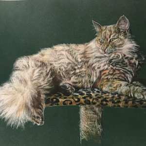 Katze Eden by Julia Kaulbach, Image 1.