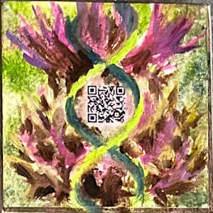 Seeds Sonnenblume by Julia Kaulbach