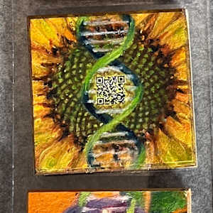 Seeds Mohn by Julia Kaulbach 