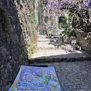 The Glycine at Rue du Tarrail Haute by Julia Kaulbach, Image 2.