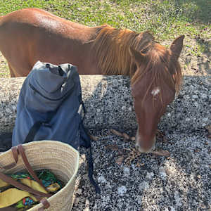 Chemin des Oules by Julia Kaulbach 