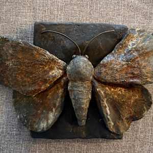 Grounded by Cindy Stevens, Image 1.
