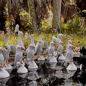 Florida Bird Chess Set by Cindy Stevens, Image 1.