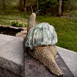 Weathered by Cindy Stevens, Image 3.