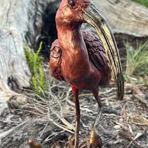 Scarlet by Cindy Stevens, Image 2.