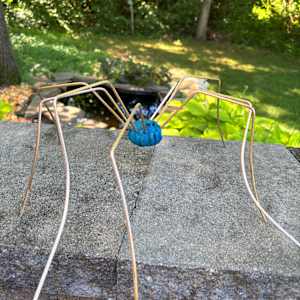 Spindly by Cindy Stevens, Image 4.