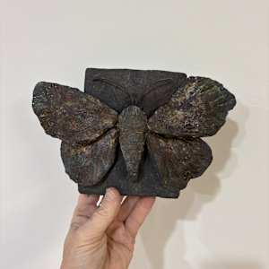 Grounded by Cindy Stevens, Image 3.