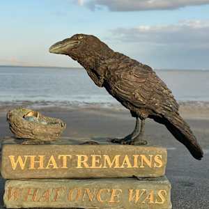 What Remains by Cindy Stevens, Image 5.